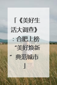 《美好生活大调查》：合肥上榜“美好焕新”典范城市