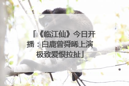 《临江仙》今日开播：白鹿曾舜晞上演极致爱恨拉扯