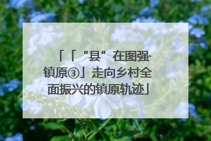 「“县”在图强·镇原③」走向乡村全面振兴的镇原轨迹