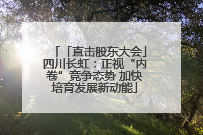 「直击股东大会」四川长虹：正视“内卷”竞争态势 加快培育发展新动能