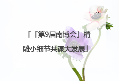 「第9届南博会」精雕小细节共谋大发展