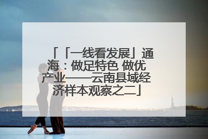 「一线看发展」通海：做足特色 做优产业——云南县域经济样本观察之二