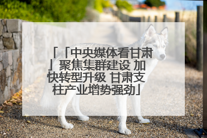 「中央媒体看甘肃」聚焦集群建设 加快转型升级 甘肃支柱产业增势强劲