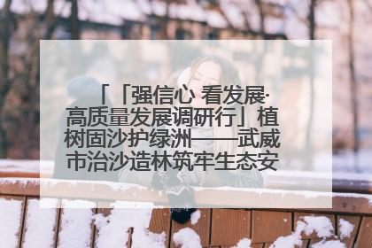 「强信心 看发展·高质量发展调研行」植树固沙护绿洲——武威市治沙造林筑牢生态安全屏障见闻