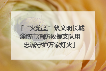 “火焰蓝”筑文明长城 淄博市消防救援支队用忠诚守护万家灯火