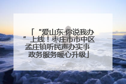 “爱山东·你说我办”上线！枣庄市市中区孟庄镇听民声办实事 政务服务暖心升级