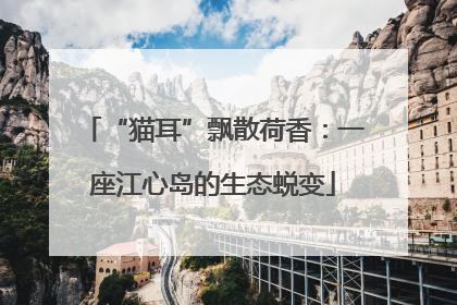 “猫耳”飘散荷香：一座江心岛的生态蜕变
