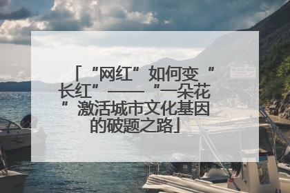 “网红”如何变“长红”——“一朵花”激活城市文化基因的破题之路
