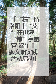 “粽”情洛阳丨“艾”在伊滨 “粽”享露营 端午主题文明实践活动启动
