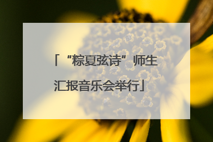 “粽夏弦诗”师生汇报音乐会举行