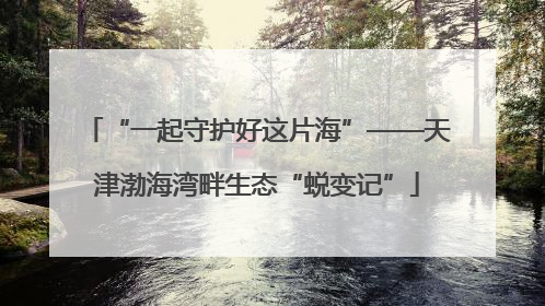 “一起守护好这片海”——天津渤海湾畔生态“蜕变记”