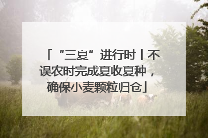 “三夏”进行时丨不误农时完成夏收夏种，确保小麦颗粒归仓