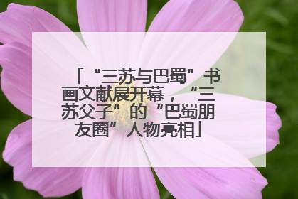 “三苏与巴蜀”书画文献展开幕，“三苏父子”的“巴蜀朋友圈”人物亮相