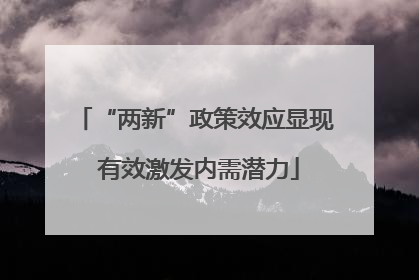 “两新”政策效应显现 有效激发内需潜力
