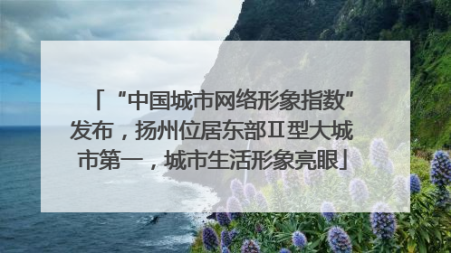 “中国城市网络形象指数”发布，扬州位居东部Ⅱ型大城市第一，城市生活形象亮眼