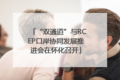 “双通道”与RCEP口岸协同发展推进会在怀化召开
