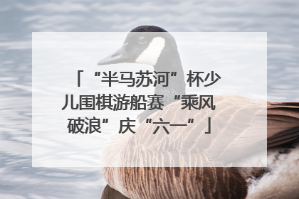 “半马苏河”杯少儿围棋游船赛“乘风破浪”庆“六一”