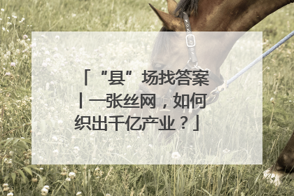 “县”场找答案丨一张丝网，如何织出千亿产业？
