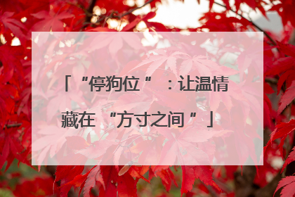 “停狗位 ”：让温情藏在 “方寸之间 ”
