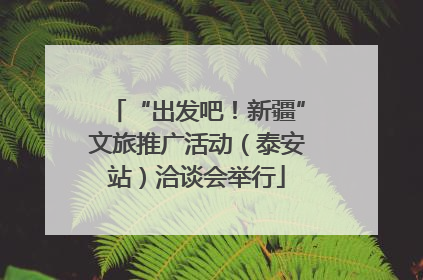 “出发吧！新疆”文旅推广活动（泰安站）洽谈会举行