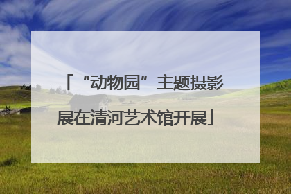 “动物园”主题摄影展在清河艺术馆开展