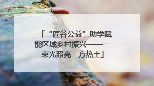 “匠谷公益”助学赋能区域乡村振兴——一束光照亮一方热土
