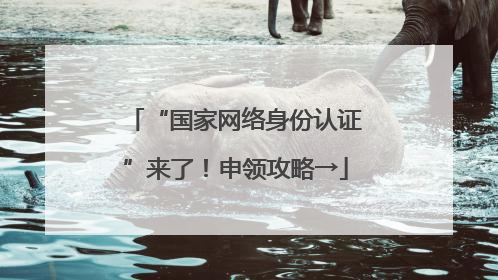 “国家网络身份认证”来了！申领攻略→