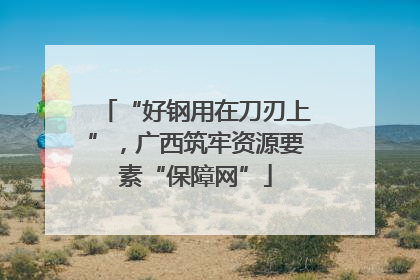 “好钢用在刀刃上”，广西筑牢资源要素“保障网”