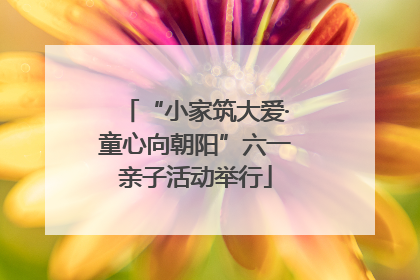 “小家筑大爱·童心向朝阳”六一亲子活动举行