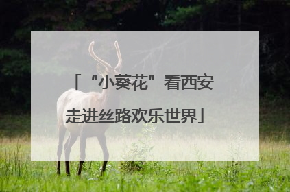 “小葵花”看西安走进丝路欢乐世界