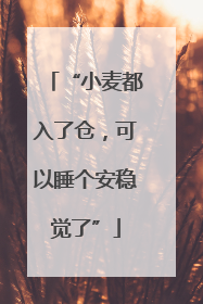 “小麦都入了仓，可以睡个安稳觉了”