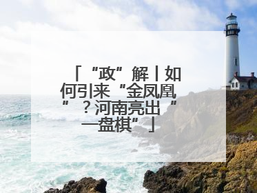 “政”解丨如何引来“金凤凰”？河南亮出“一盘棋”