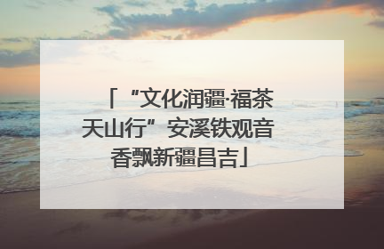 “文化润疆·福茶天山行”安溪铁观音香飘新疆昌吉