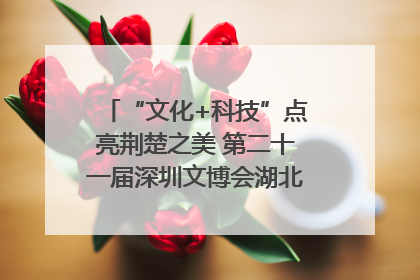 “文化+科技”点亮荆楚之美 第二十一届深圳文博会湖北馆抢“鲜”看