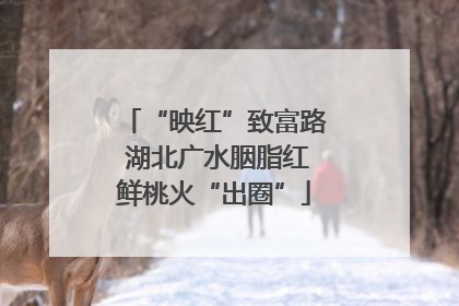 “映红”致富路 湖北广水胭脂红鲜桃火“出圈”