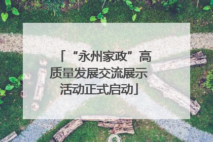 “永州家政”高质量发展交流展示活动正式启动