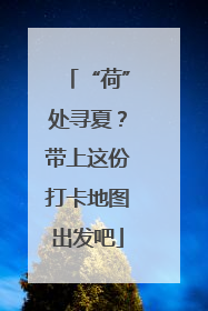 “荷”处寻夏？带上这份打卡地图出发吧