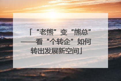 “老熊”变“熊总”——看“个转企”如何转出发展新空间