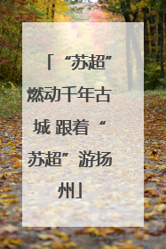 “苏超”燃动千年古城 跟着“苏超”游扬州