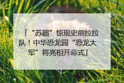 “苏超”惊现史前拉拉队！中华恐龙园“恐龙大军”将亮相开幕式