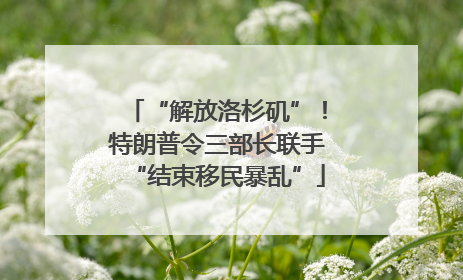 “解放洛杉矶”！特朗普令三部长联手“结束移民暴乱”