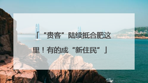 “贵客”陆续抵合肥这里！有的成“新住民”