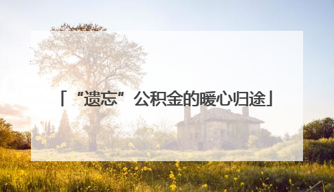 “遗忘”公积金的暖心归途