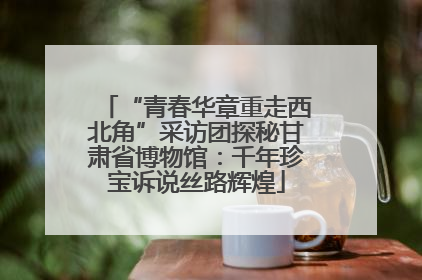 “青春华章重走西北角”采访团探秘甘肃省博物馆：千年珍宝诉说丝路辉煌