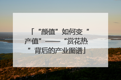 “颜值”如何变“产值”——“赏花热”背后的产业图谱