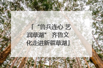“鲁兵连心 艺润草湖” 齐鲁文化走进新疆草湖