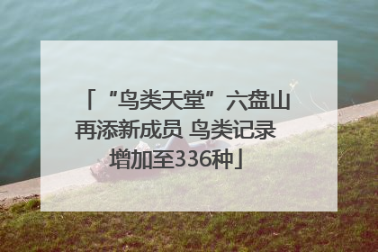 “鸟类天堂”六盘山再添新成员 鸟类记录增加至336种