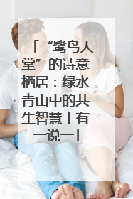 “鹭鸟天堂”的诗意栖居：绿水青山中的共生智慧丨有一说一