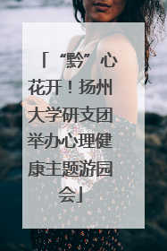 “黔”心花开！扬州大学研支团举办心理健康主题游园会