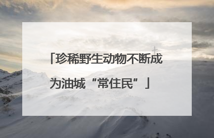 珍稀野生动物不断成为油城“常住民”